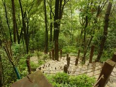 -南山植物园