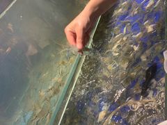 -甄品麦哲伦海鲜和牛自助(万达广场店)