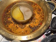 -哥老官重庆美蛙鱼头(龙湖杭州金沙天街店)