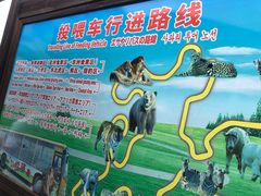 -上海野生动物园