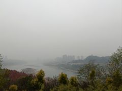 -金海湾滨江公园
