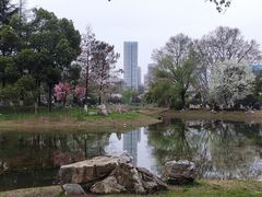 -堤角公园