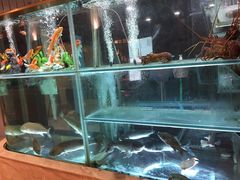 -稻香迎囍皇宫(港惠店)