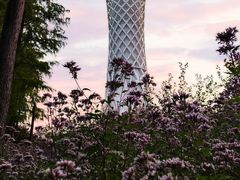 -上海滨江森林公园