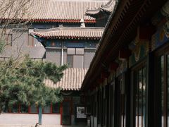 -护国法轮寺