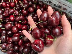 车厘子-西郊国际农产品交易中心