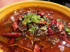 -熊猫川菜馆 panda chine