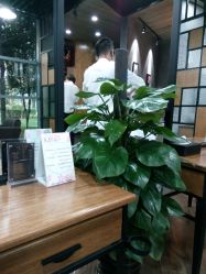-UPTOP鼎上造型