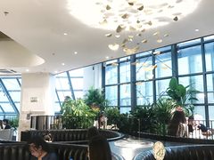 -大树餐厅(红旗街万达店)