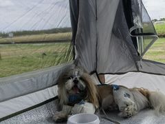 -春花秋色城市公园