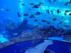 -成都浩海立方海洋公园