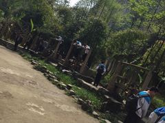 -车溪民俗旅游区