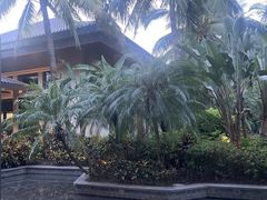 -海南清水湾莱佛士酒店