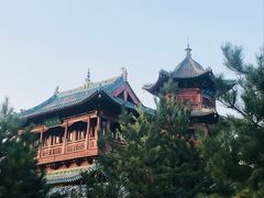 -迎泽公园
