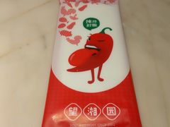 -望湘园·湖南菜(宏伊店)