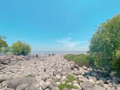 -上海吴淞炮台湾国家湿地公园