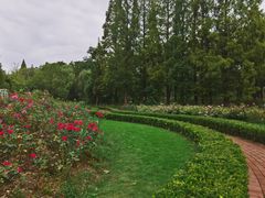 -昆山城市生态森林公园