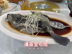 -海宝酒家(中山四路店)