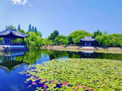 -无锡蠡湖国家湿地公园-蠡园