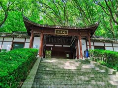 -上海佘山国家森林公园天马山园