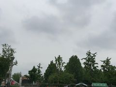 -大兴滨河森林公园