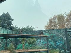 -成都动物园