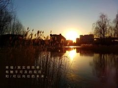 -中关村生命科学园