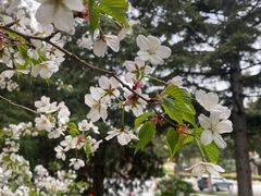 -辽宁友谊宾馆