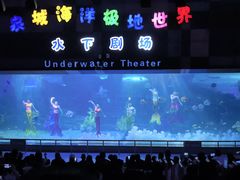 -泉城欧乐堡海洋极地世界