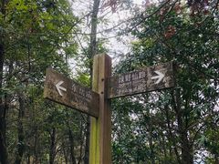-云碧峰国家森林公园