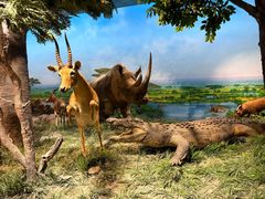 -国家自然博物馆