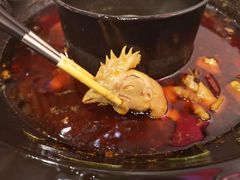 -重庆烧鸡公火锅(簋街店)