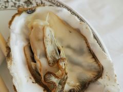 小生蚝-渔民船说·北塘海鲜·天津菜·海肠捞饭(北塘古镇店)