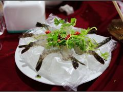 生虾刺身-幸福姐海鲜大排档