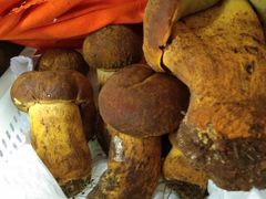 -菌之家·专业纯野生菌火锅·特色炒菌