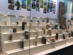 -广东中医药博物馆