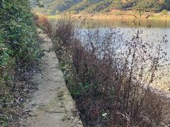 -新安江山水画廊风景区