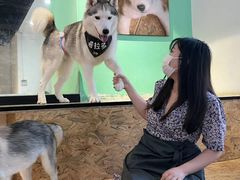 -Husky Go! 哈士奇体验馆·宠物咖啡厅狗咖