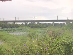 -光明小镇欢乐田园