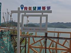 -望湖烤鱼
