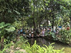 -成都市活水公园