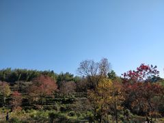 -塔川景区