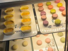 -樱煦和牛寿喜烧(如皋吾悦广场店)