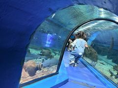 -福州罗源湾海洋世界旅游区