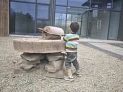 -白鹭湾湿地公园