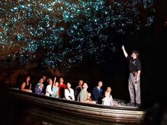 -怀托摩萤火虫洞