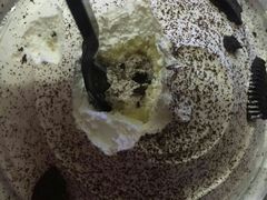 -精点味道(西安路店)