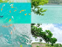 -水濂山森林公园