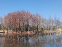 -长广溪湿地公园