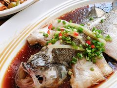清蒸鲈鱼-眉州东坡(博雅店)